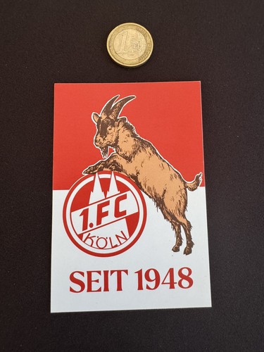 Ultras köln sticker - 1., fc